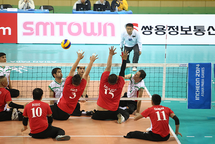 3 Iran Men Volley Incheon 2014 1