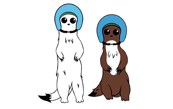 super-sporty stoats 2026