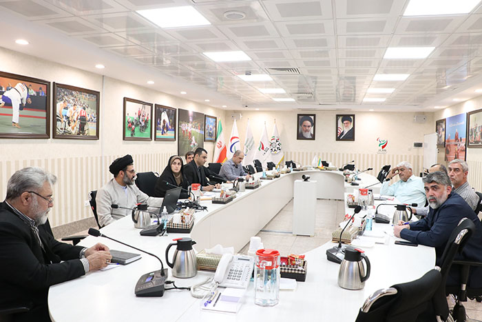 برگزاری شانزدهمین نشست کمیسیون فرهنگی کمیته ملی پارالمپیک