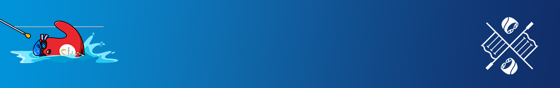 Para Swimming Paris header