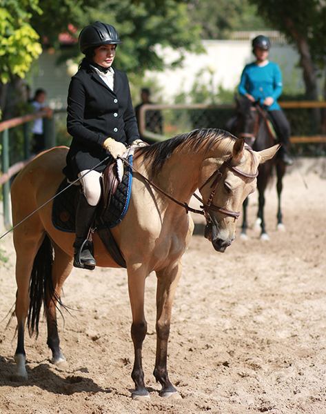 اسب سواری  3