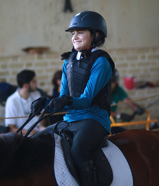 اسب سواری  5