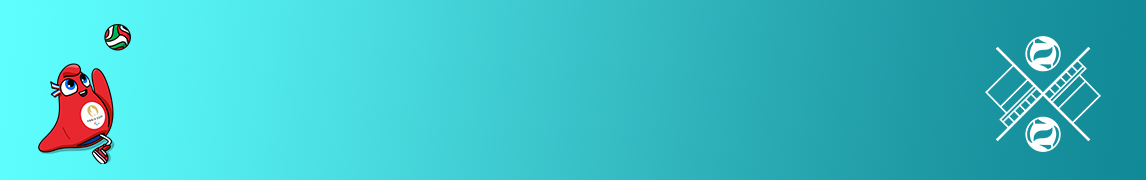 HD BlueGreen Sitting Volleyball