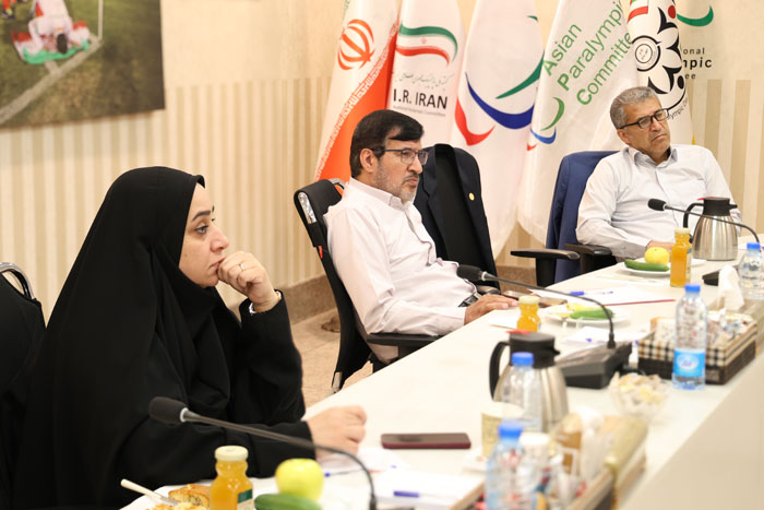 شورای راهبردی  3