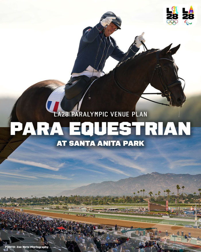 لس آنجلس رشته ها  4