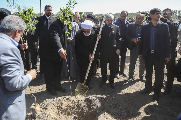 درختکاری  6