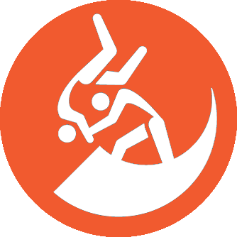 Judo OrangePicto300.300