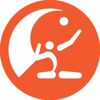 Volley OrangePicto300.300