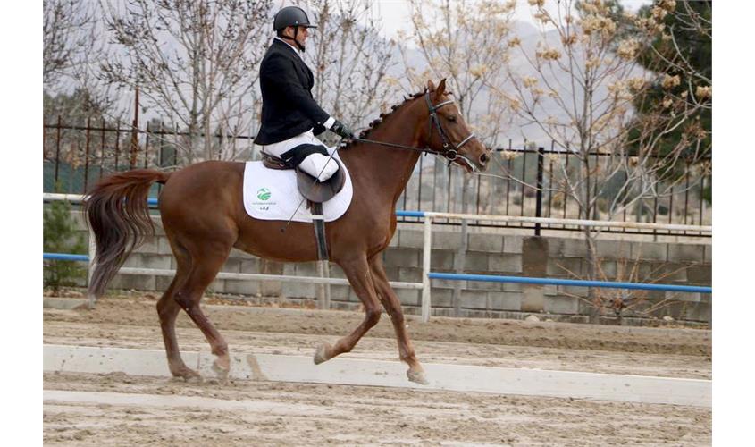 قهرمانی کشور سوارکاری  15