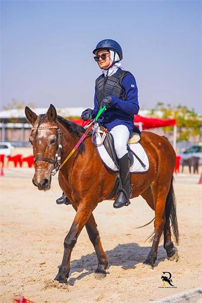 پاراسوارکاری  9