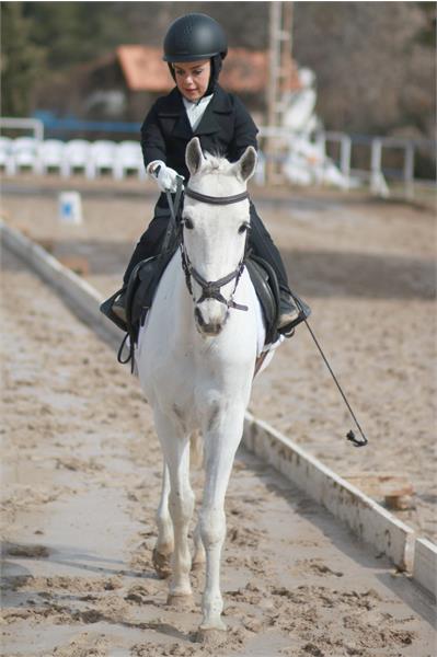 قهرمانی کشور سوارکاری  9