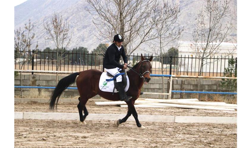 قهرمانی کشور سوارکاری  13