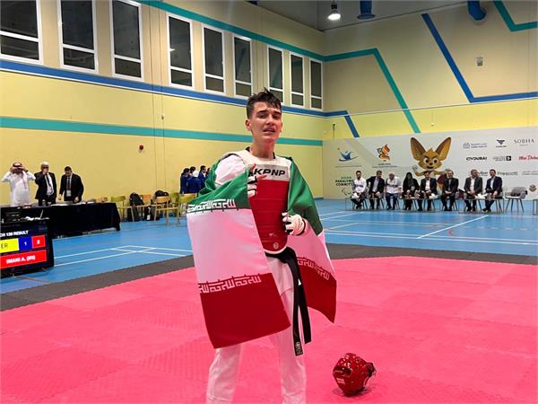 Para Taekwondo Rep 3