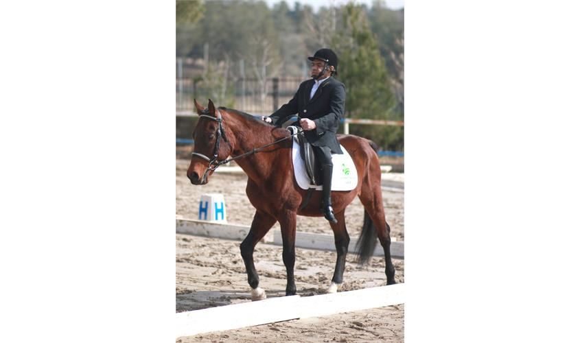 قهرمانی کشور سوارکاری  7