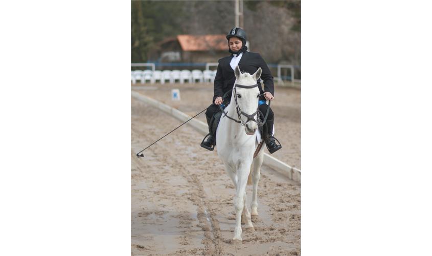 قهرمانی کشور سوارکاری  6