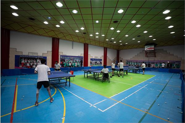 تنیس روی میز  12