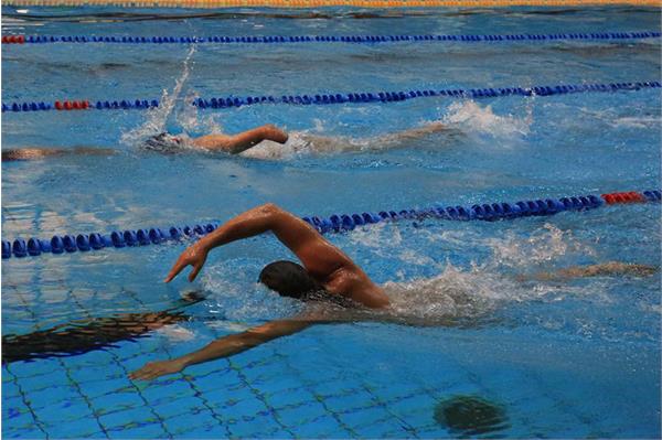 قهرمانی کشور شنا  35