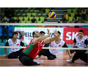 3 Iran Men Volley Incheon 2014 5