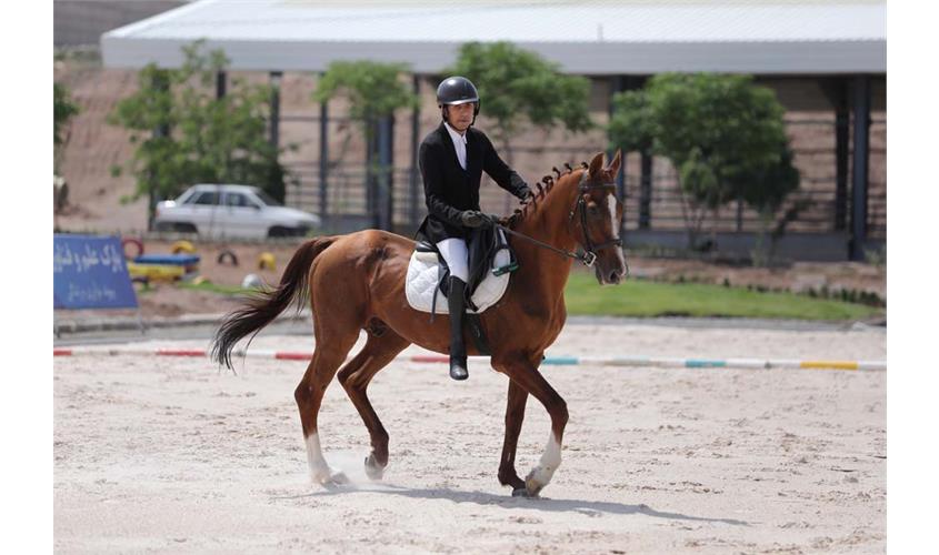 سوار کاری  10