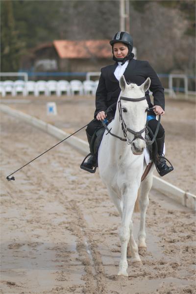 قهرمانی کشور سوارکاری  6