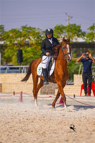 پاراسوارکاری  11