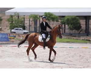 Para Dressage Training Event 14