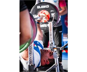 Para Power Vertical 9