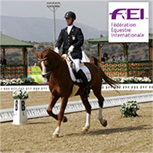 پاراسوارکاری