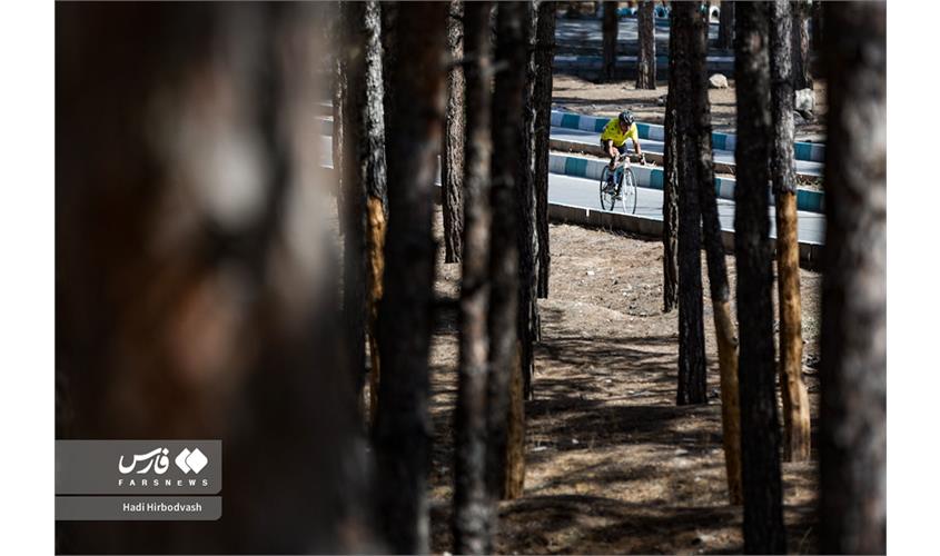 پارادوچرخه  7