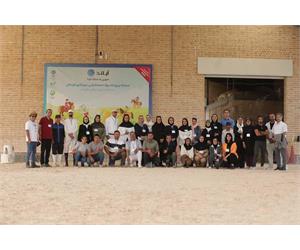 Para Dressage Training Event 8