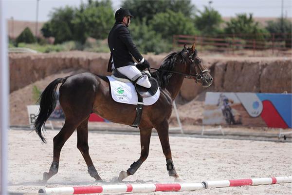 سوار کاری  8