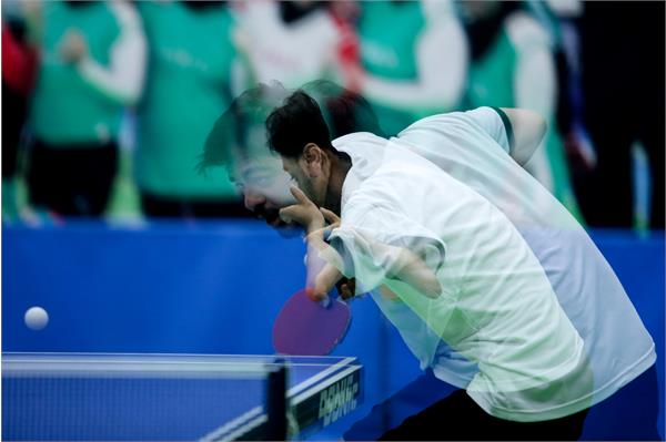 تنیس روی میز  15