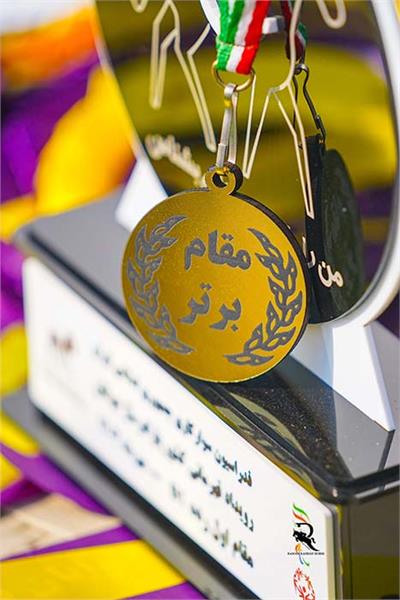 پاراسوارکاری  8