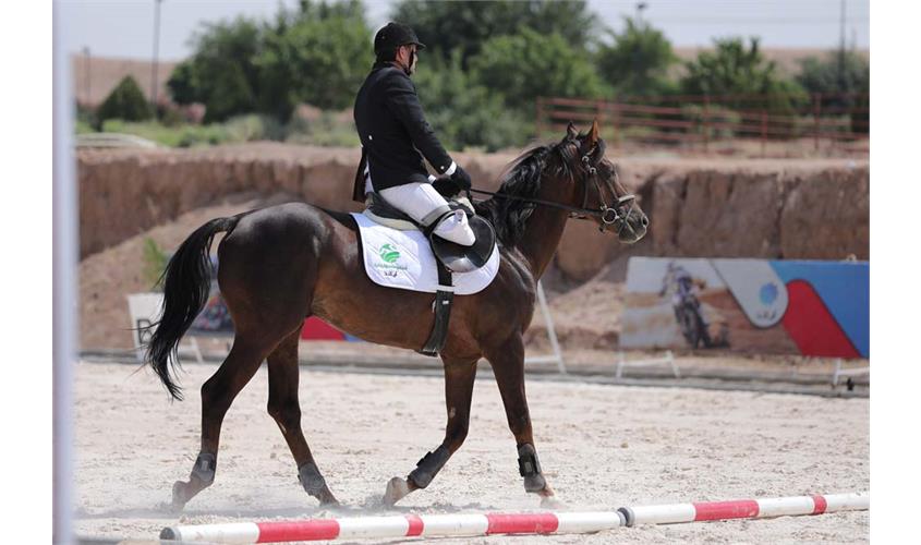 سوار کاری  8