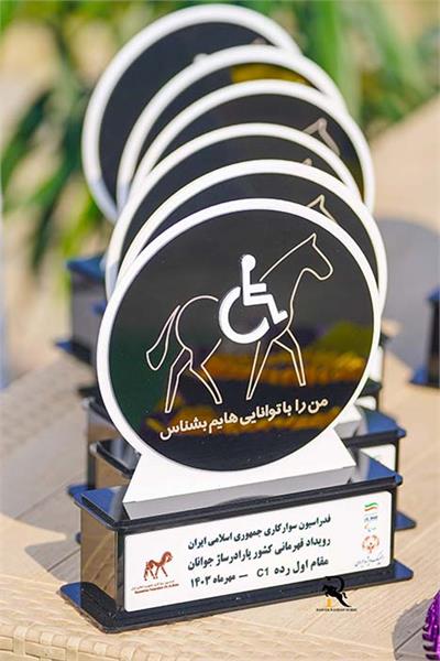 پاراسوارکاری  7