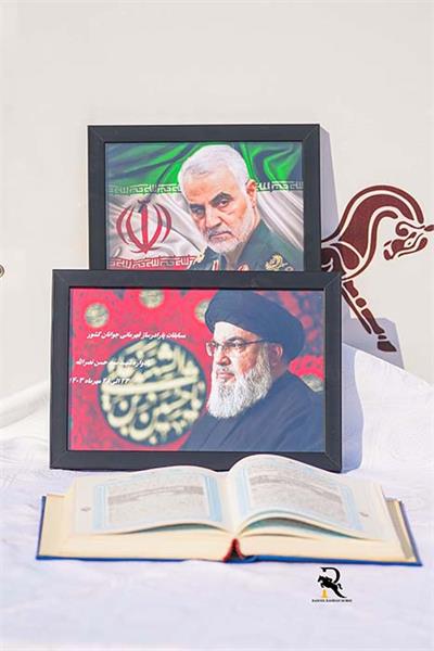 پاراسوارکاری  14