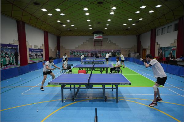 تنیس روی میز  11