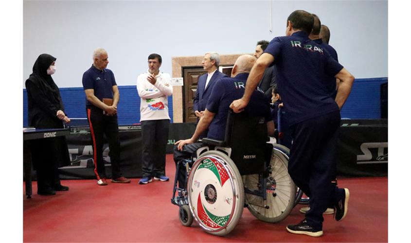 تنیس روی میز  11