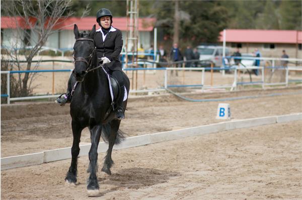 قهرمانی کشور سوارکاری  2