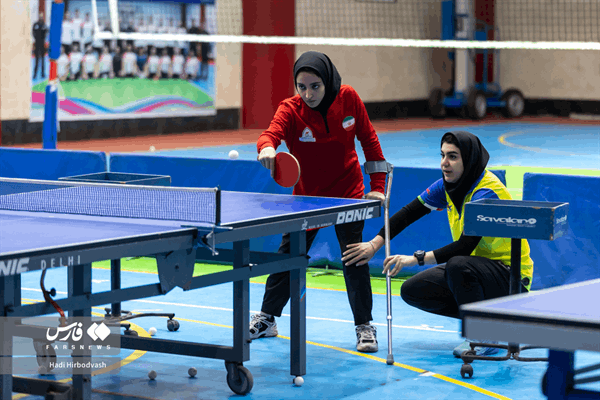 تنیس روی میز  4