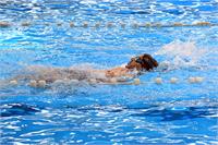 آغاز اولین مرحله اردوی استعدادیابی تیم شنای کم توانان ذهنی از امروز ۹ اردیبهشت