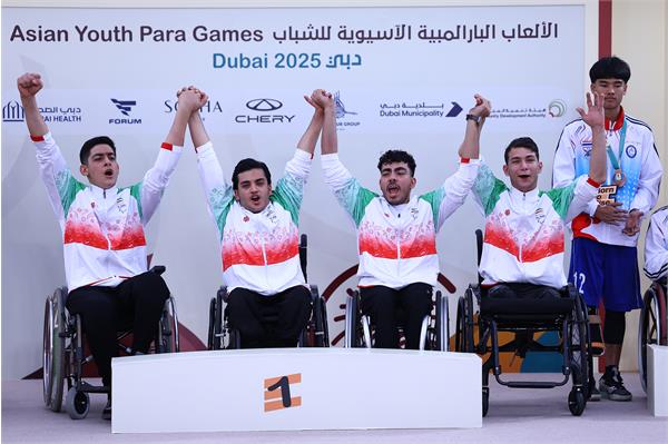 Wheelchair Basket Podium 7