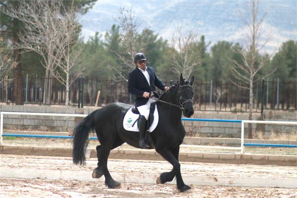 قهرمانی کشور سوارکاری  3