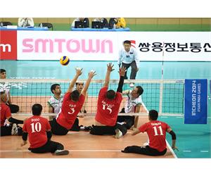 3 Iran Men Volley Incheon 2014 1