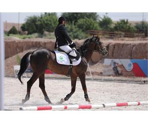 Para Dressage Training Event 2
