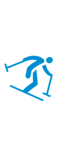 اسکی آلپاین