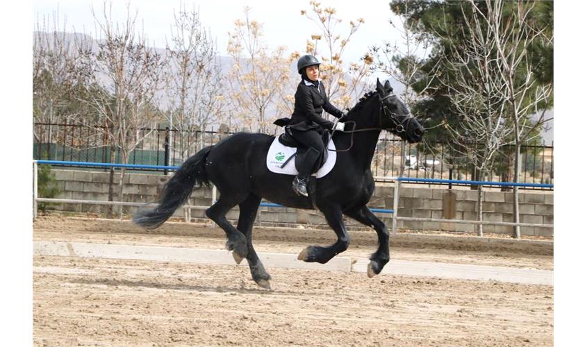 قهرمانی کشور سوارکاری  14