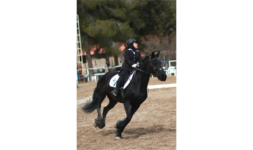 قهرمانی کشور سوارکاری  10