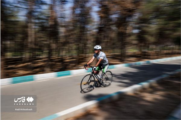 پارادوچرخه  24