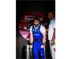 Para Power Vertical 7